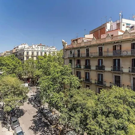 Apartment Canela Homes Bruc *